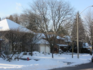 Mississauga House Price Report February 2017