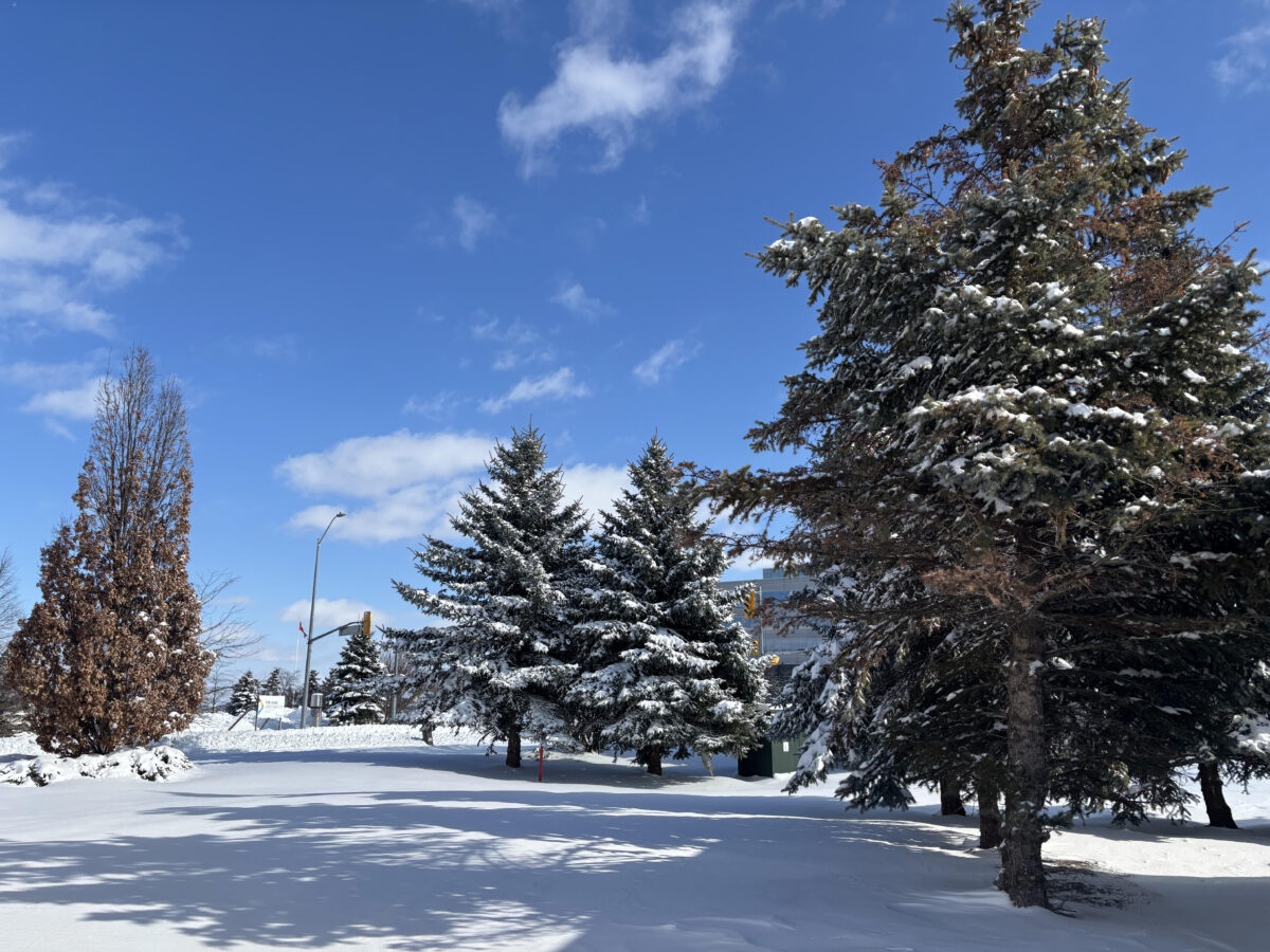 Mississauga House Price Report February 2025